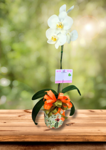 Pinceladas de Primavera