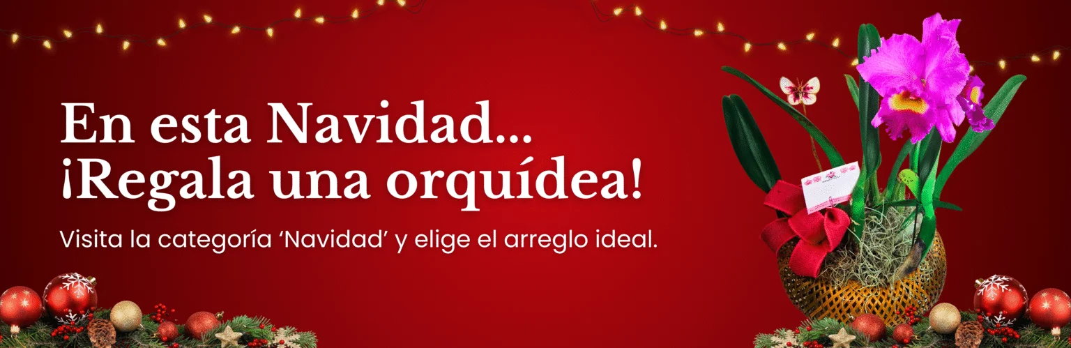 Banneers Página Orquivalle